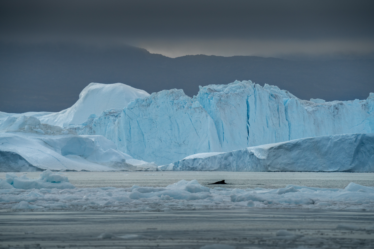 Ilulisat 16 53149880667 O 803