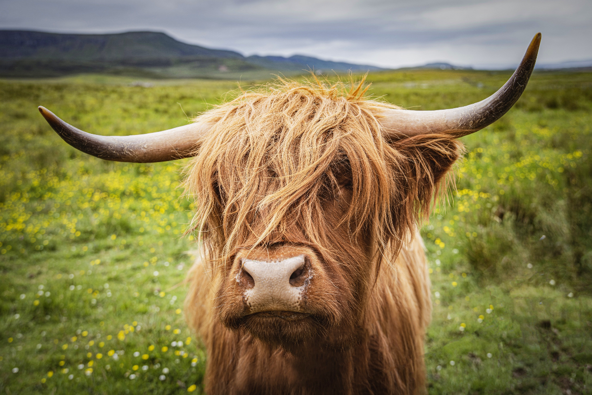 Kyle Of Lochalsh Scotland ©Studioponant Soalesport5