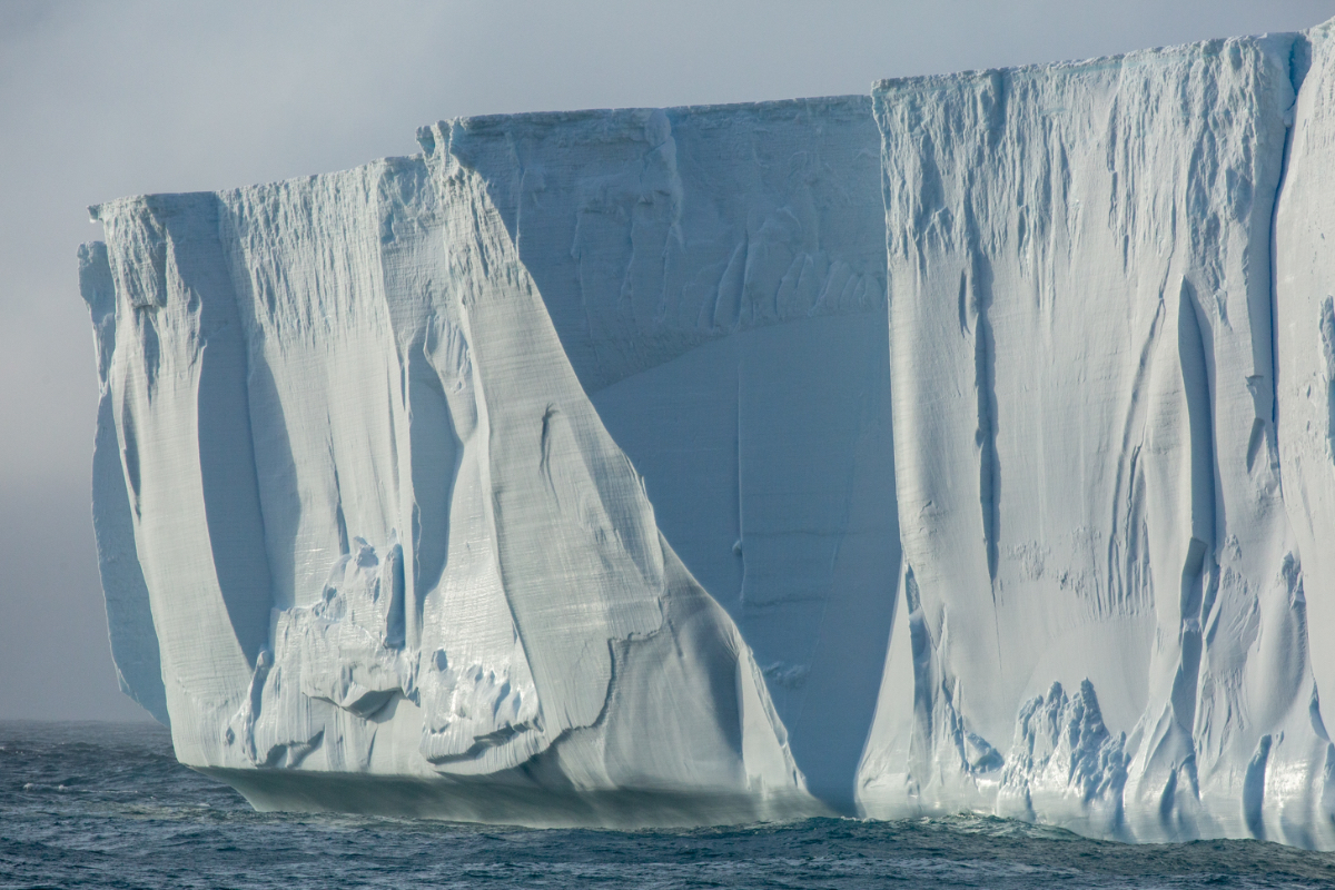 Antarctica Icebergs 1439