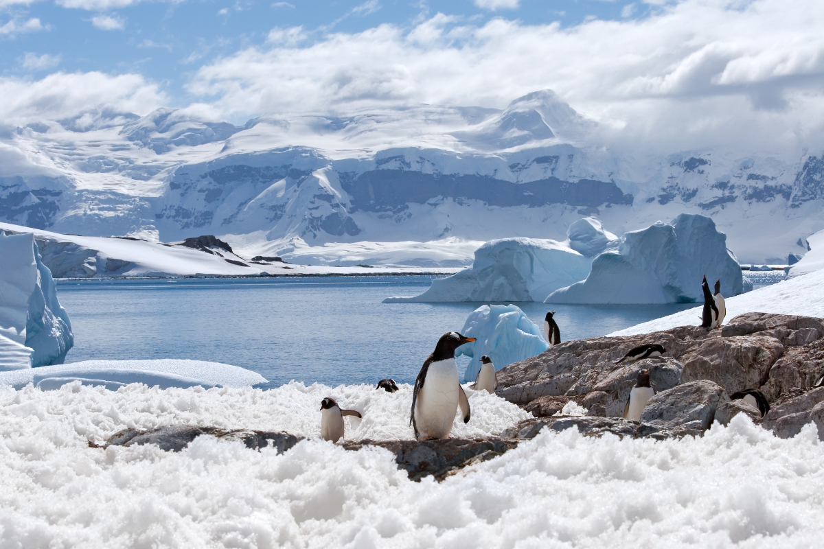 Polar Circle Terra Nova Expeditions