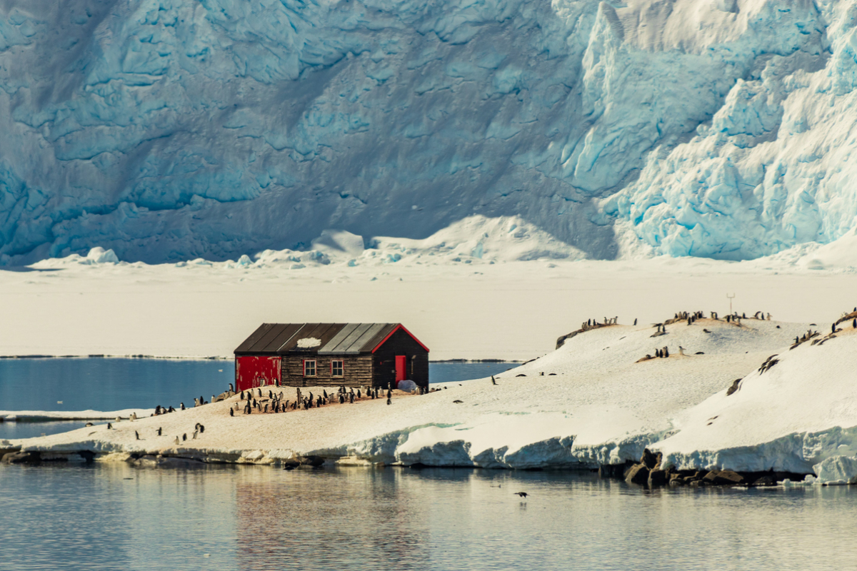 Heroic south Terra Nova (1)