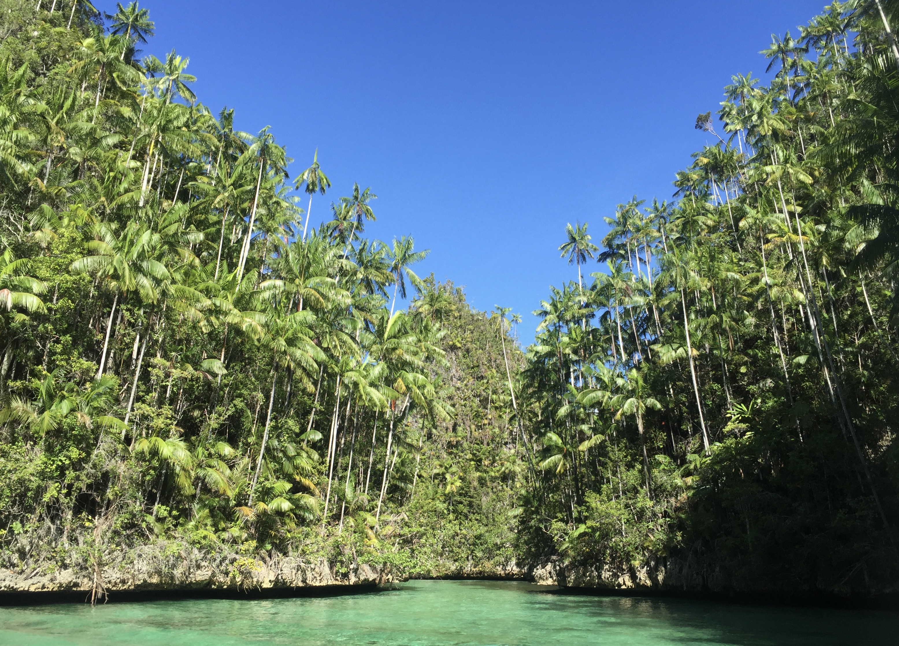 Triton Bay Mushroom Rocks CREDIT Karen Edwards