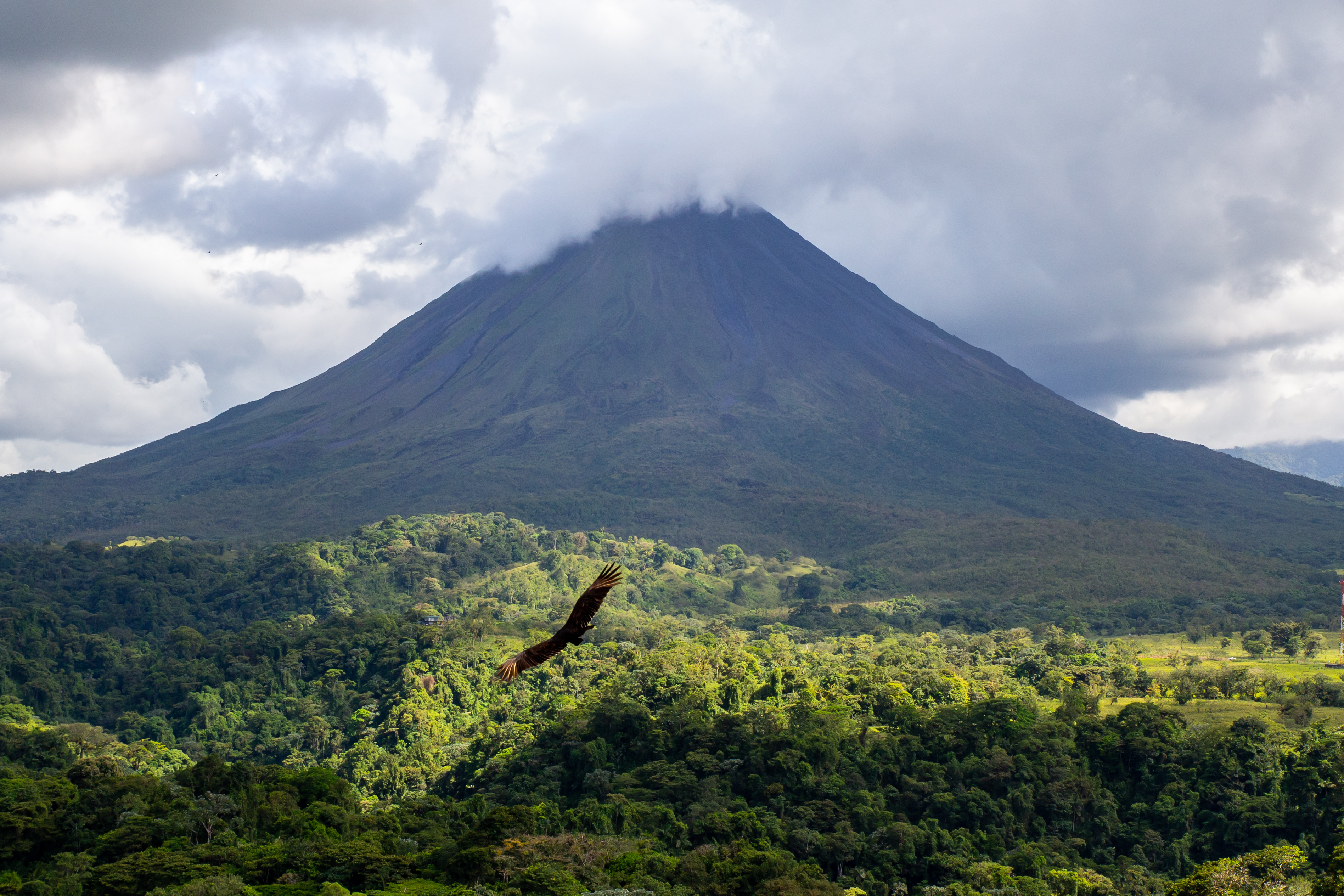 Costa Rica Mountain and rainforest