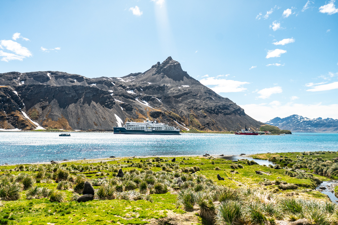 Diana In King Edward Cove South Georgia Antarctic 2435