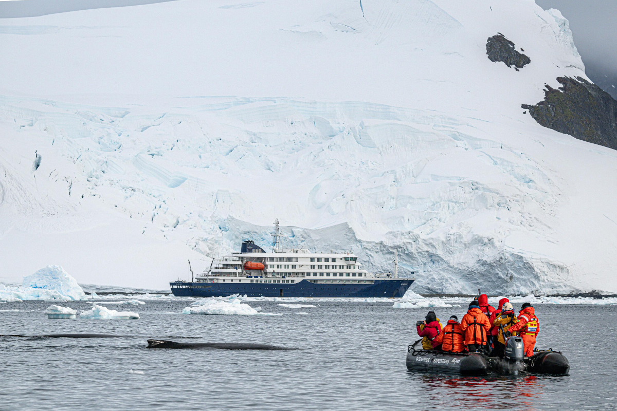 Hondius Zodiac Cruise Paradise Bay