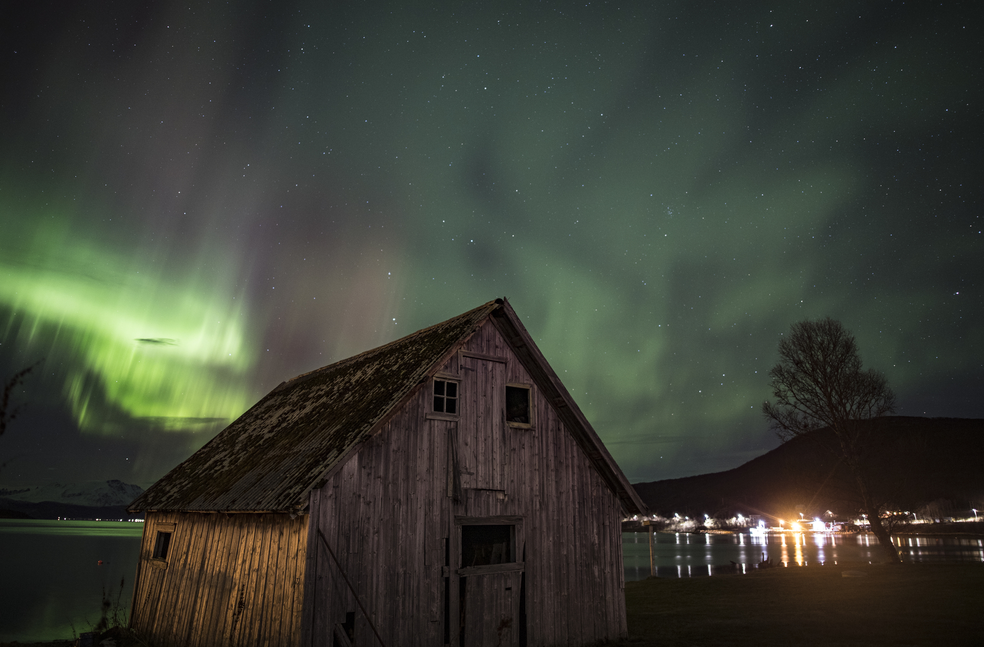 Northern Lights Viewing Rosie B Wild (8)