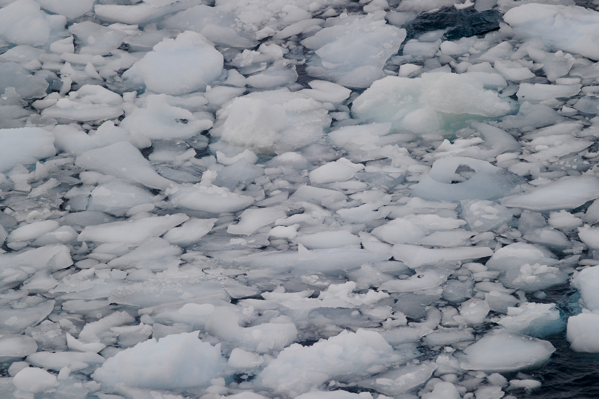 Sea Ice Fractured Copy 1058
