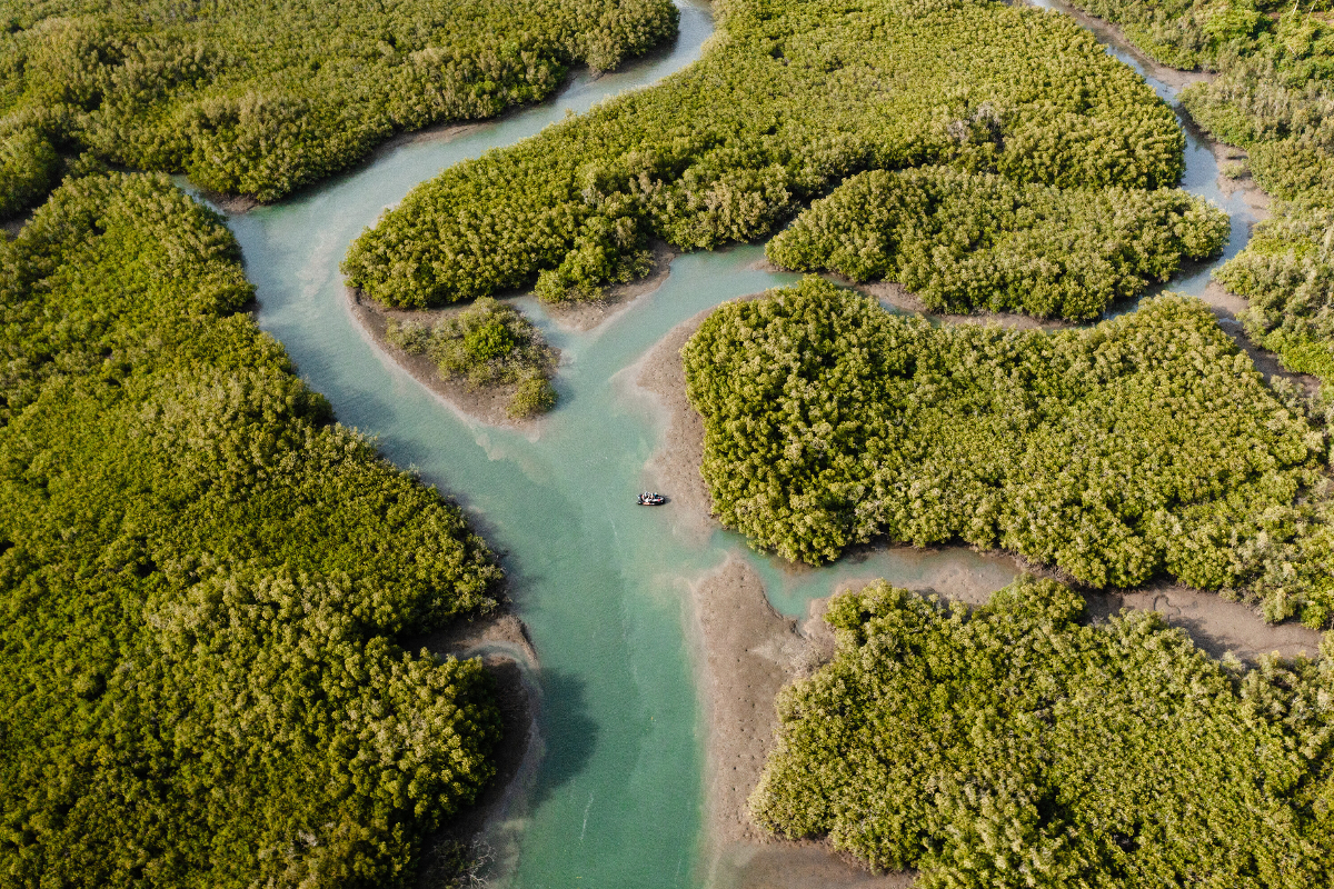 SSC Bijagósarchipelago Bolama Ericduranphoto