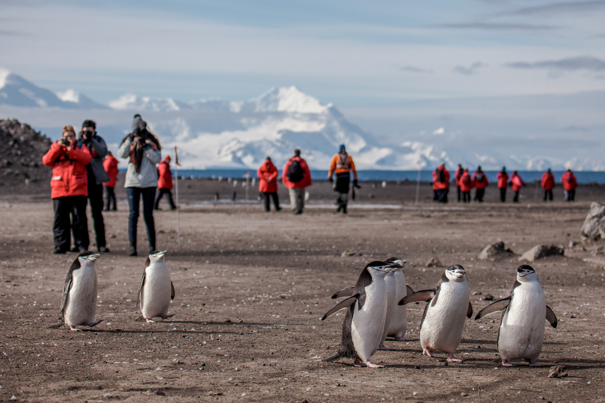 Gadventures Antarctica Baileyhead 2019 4679