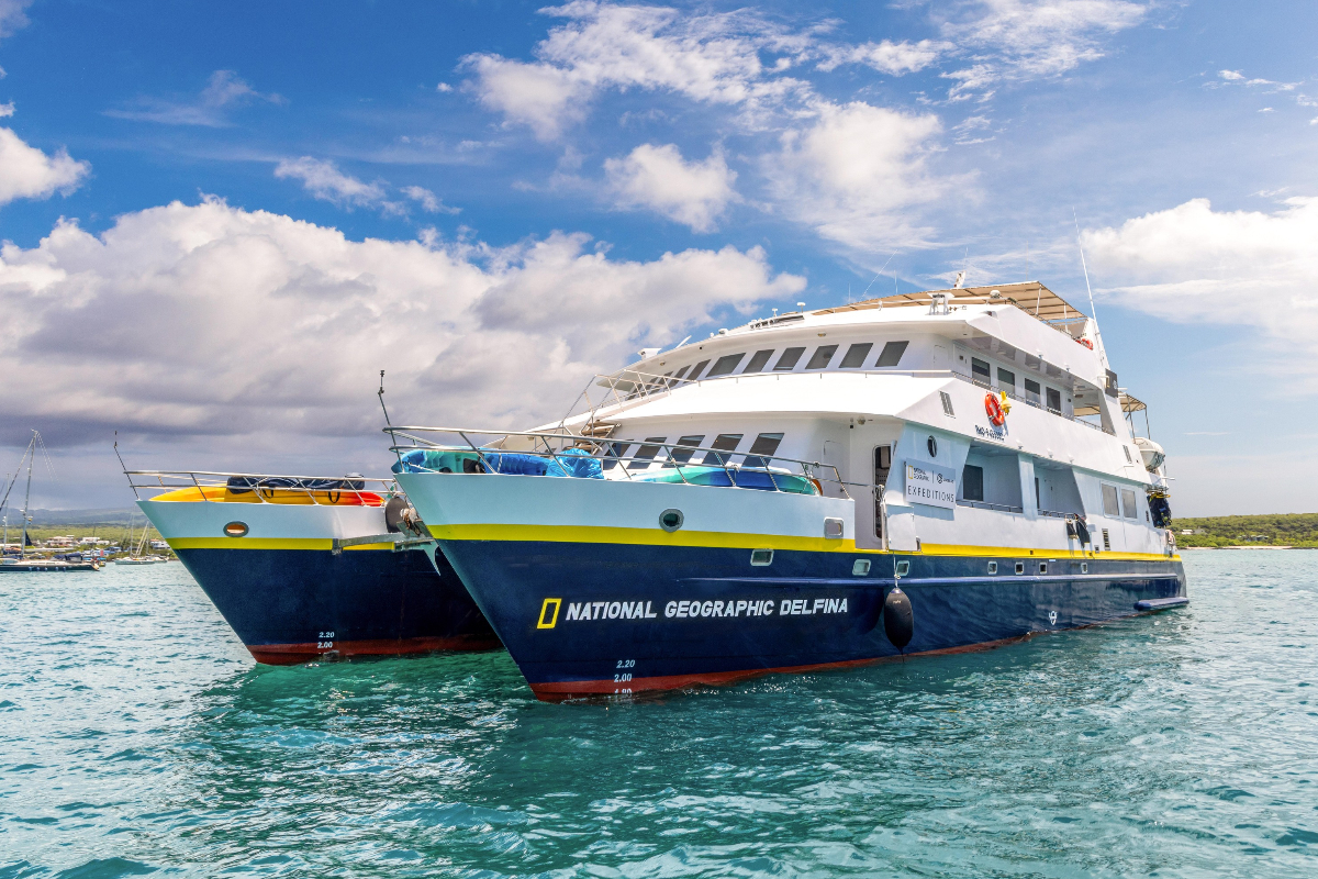 LEX Ship NG Delphina Exterior Catamaran