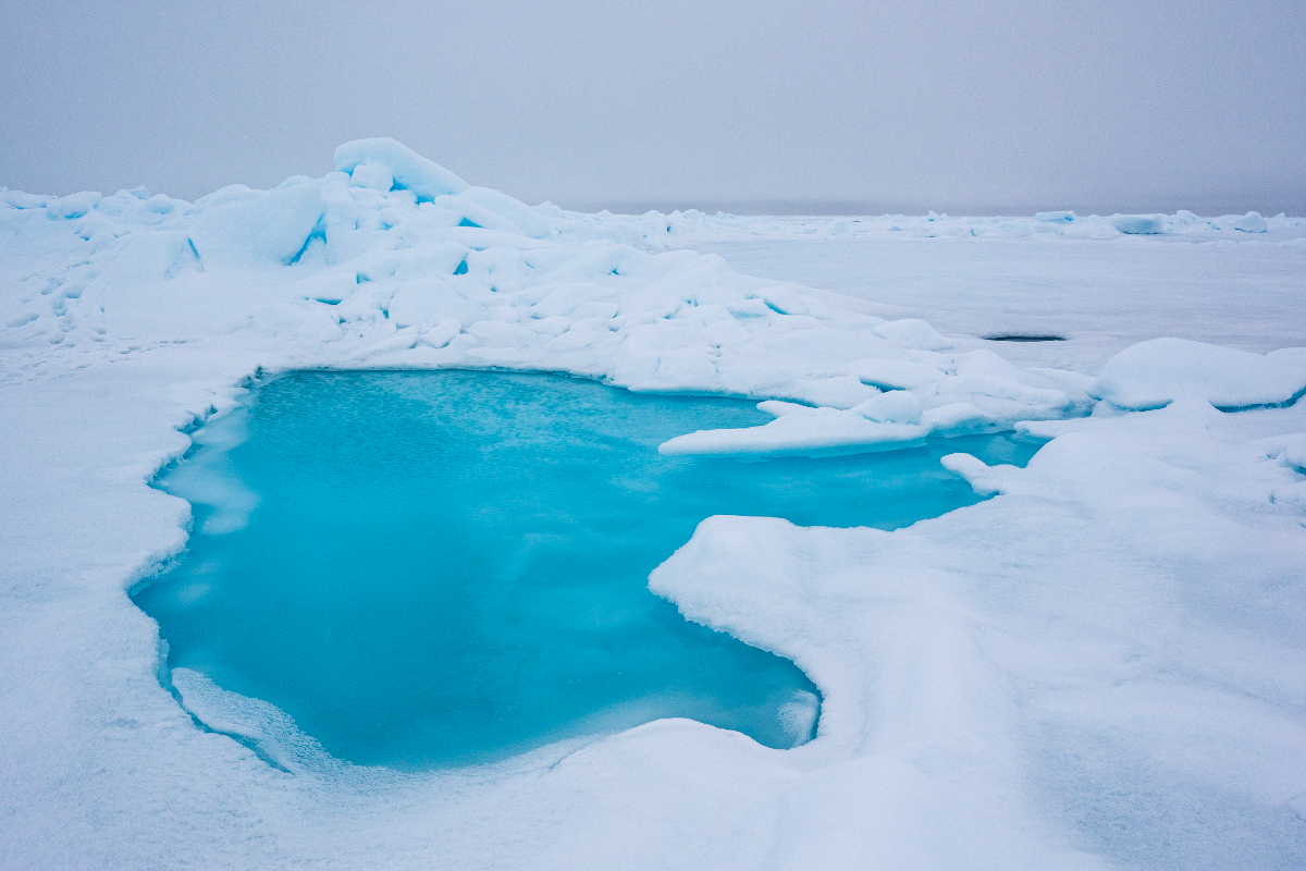 North Pole RG6 6992 Renato Granieri 765