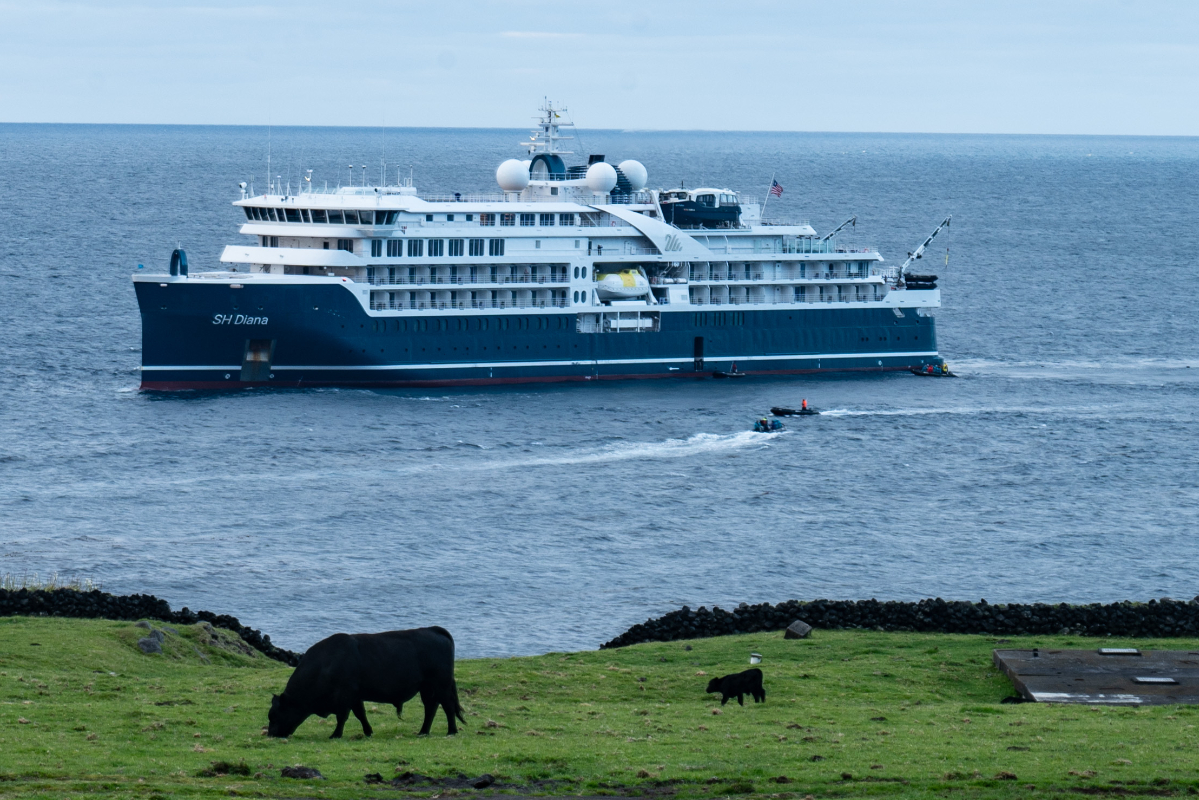 Diana Offshore Tristan Da Cunha South Georgia Antarctic 2441