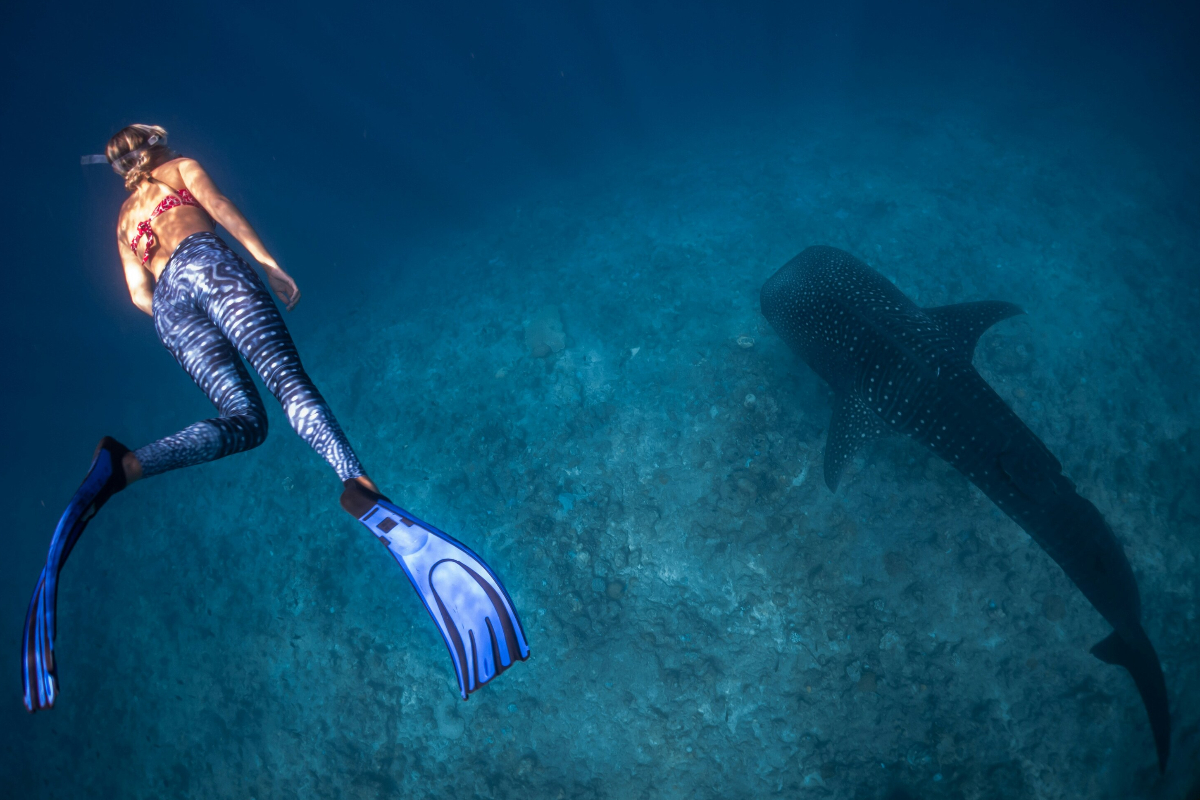 Sebastian Pena Lambarri Unsplash Whispers Of The Archipelago With Travelpack