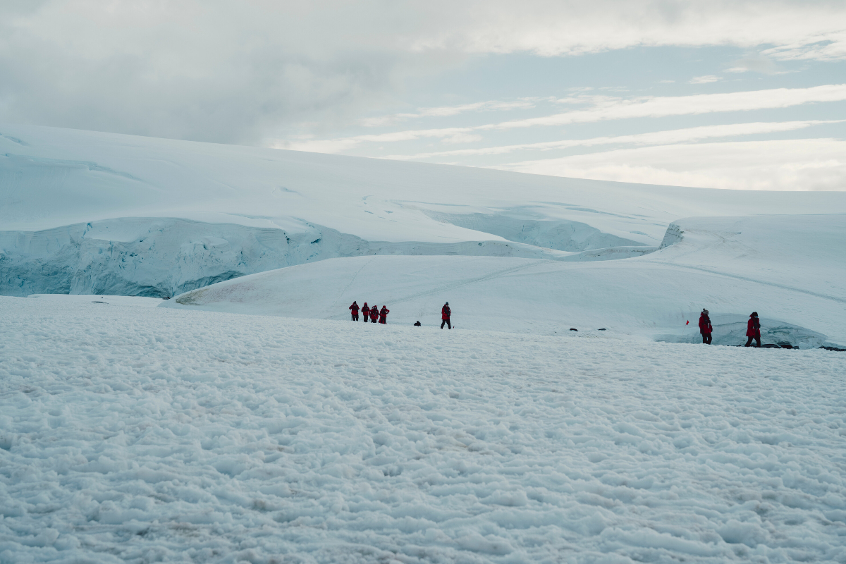 Landing In Antarctica Silversea