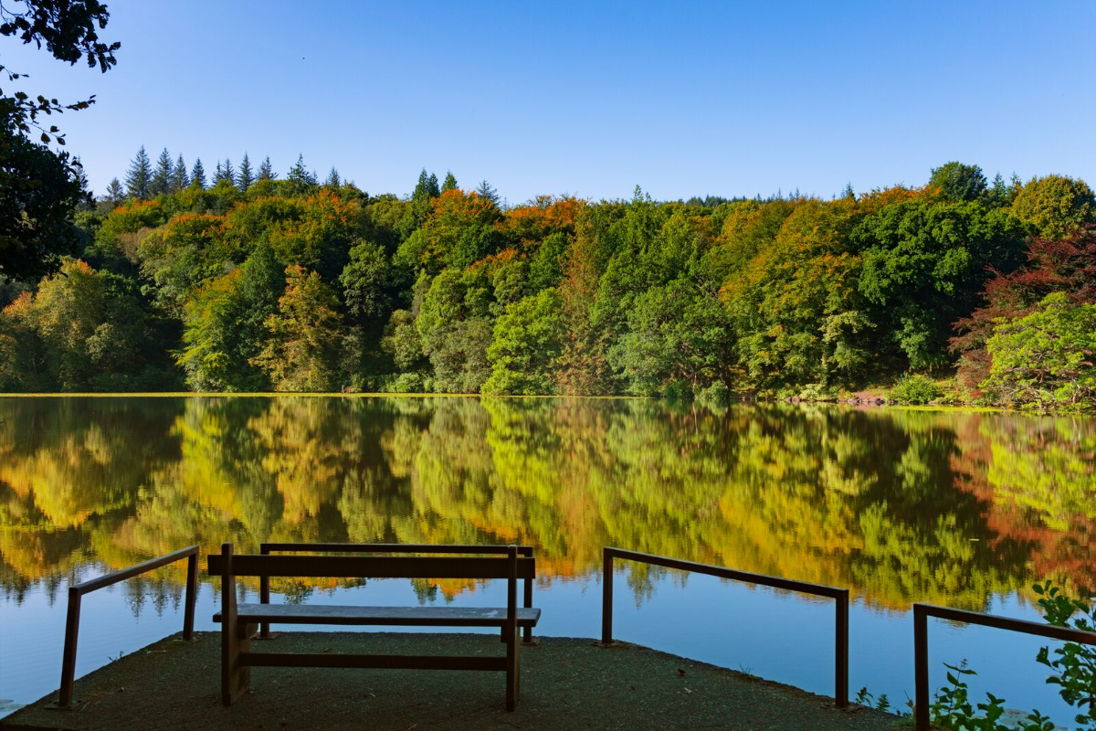 Scotland Ile De Mull Tobermory Ponant