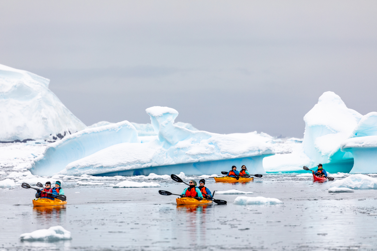Kayaking At Wilhelmina Bay Antarctica Pia Harboure
