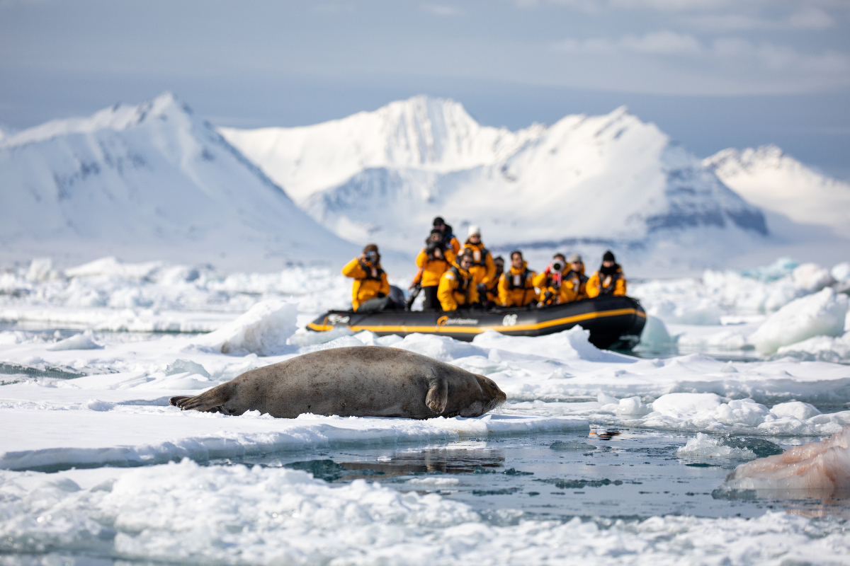 Zodiac Cruising Michellesole Quark Expeditions