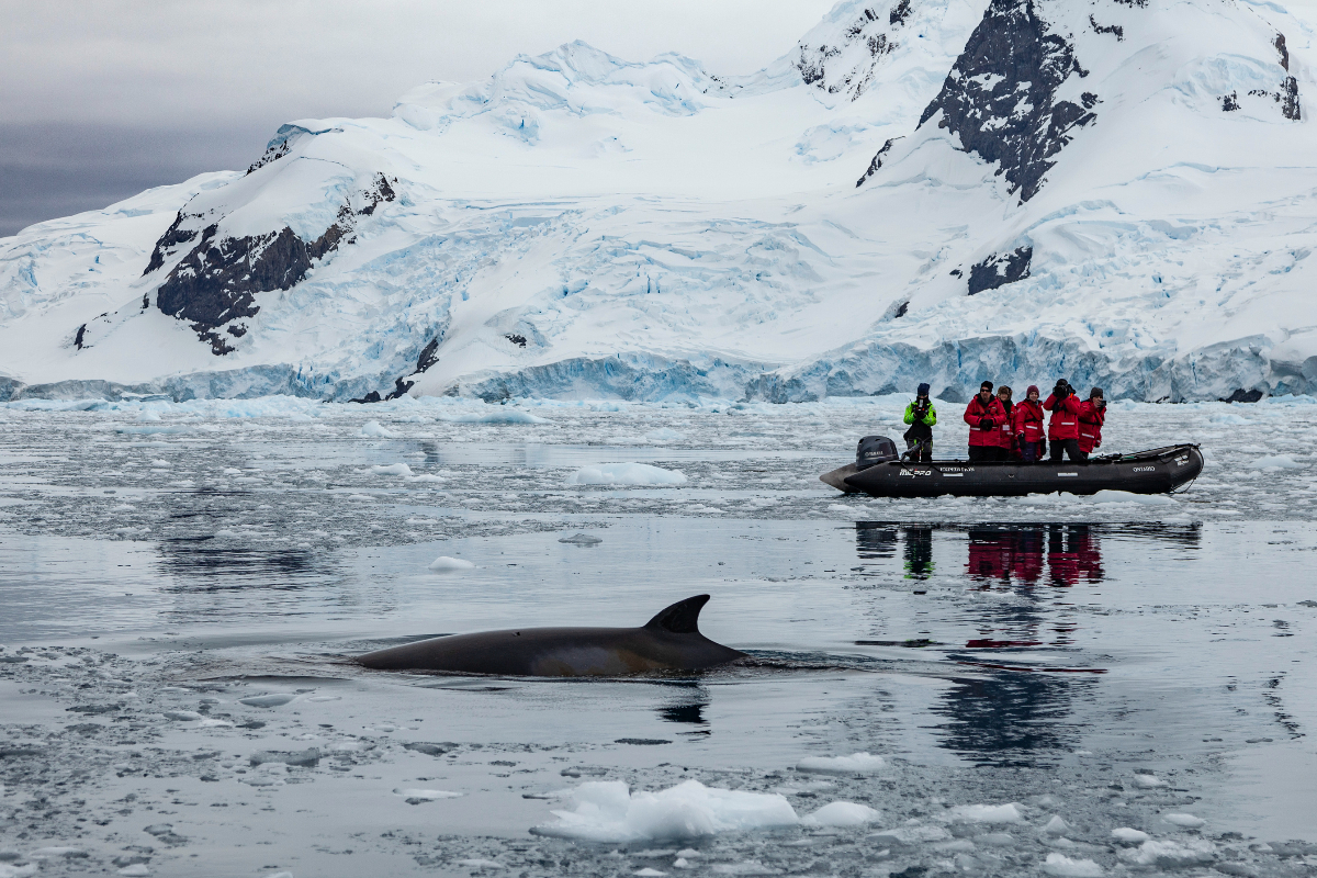 Gadventures Antarctica Cierva Cove