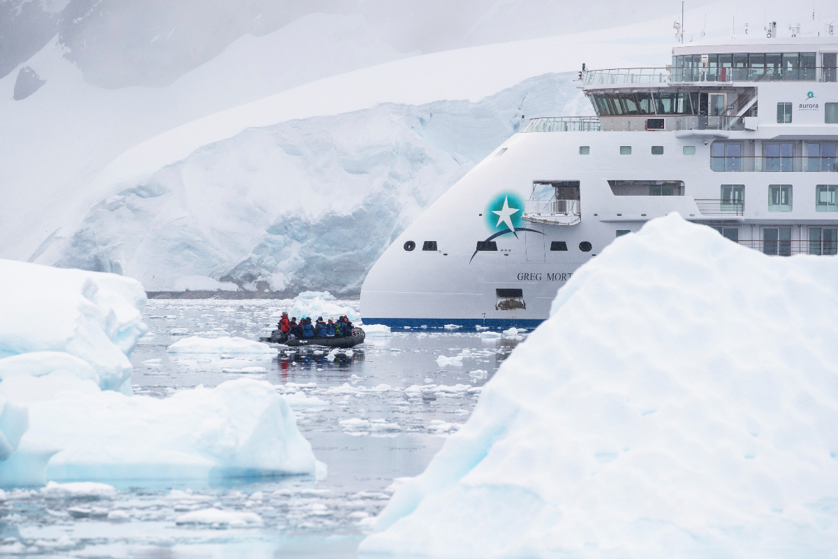 Zodiac Cruise In Antarctica With Greg Mortimer Scott Portelli 2256