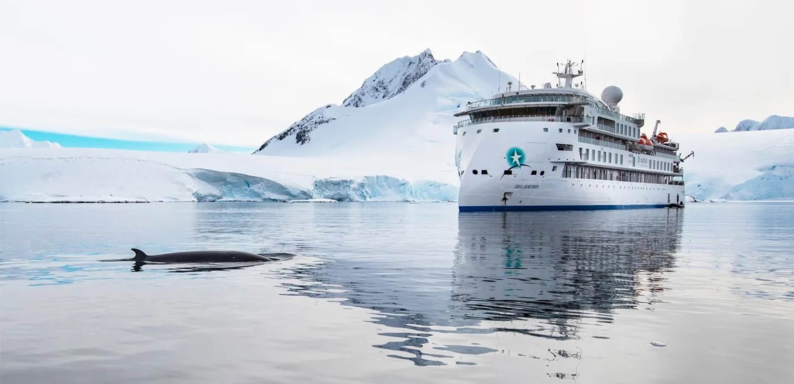 The 2025 26 Antarctic Expedition Ship Comparison Chart ExplorEarth the-2025-26-antarctic-expedition-ship-comparison-chart-explorearth
