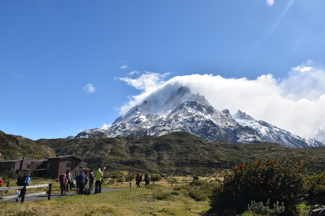 Hiking through sub-Antarctic forest in southern Patagonia