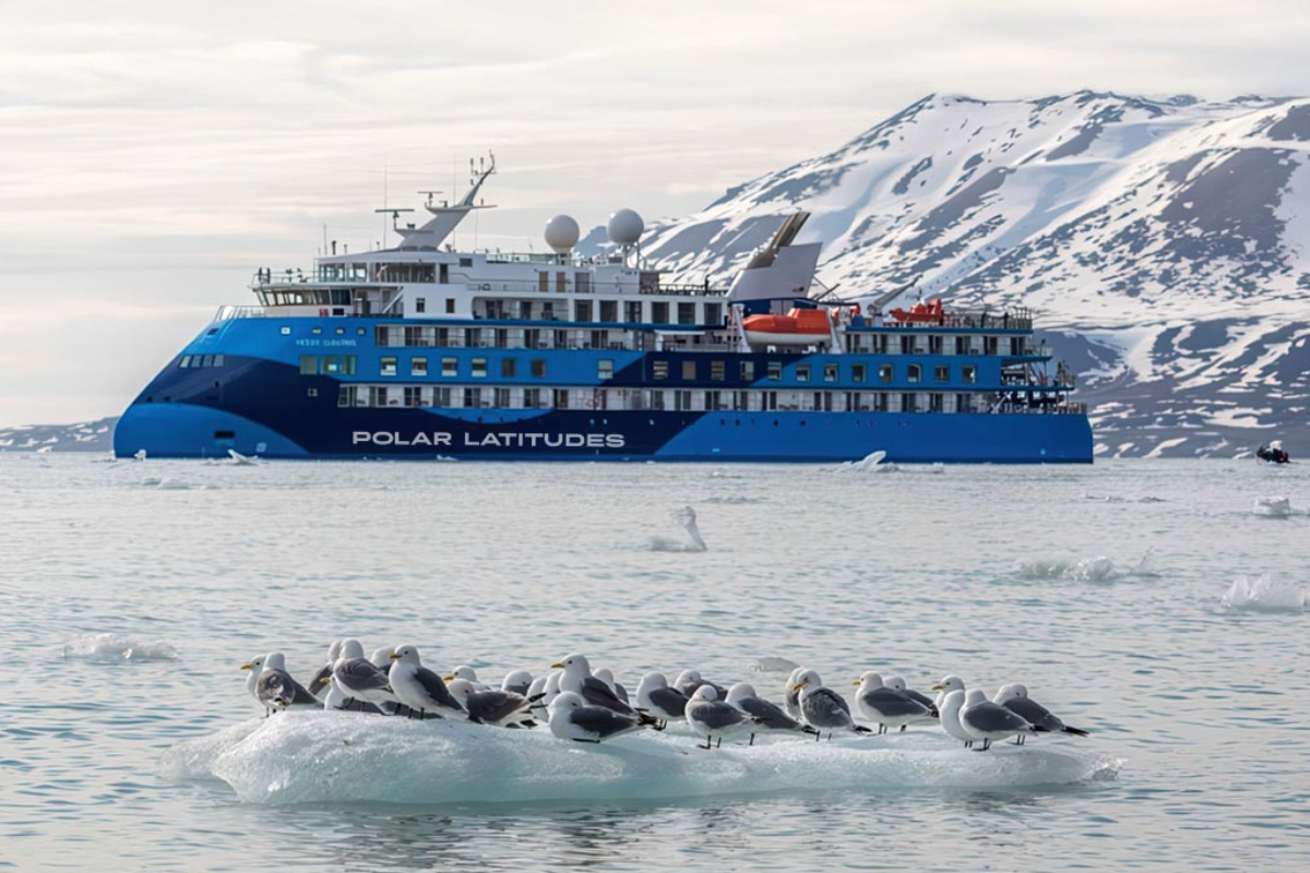 Albatros Branded 2 4998