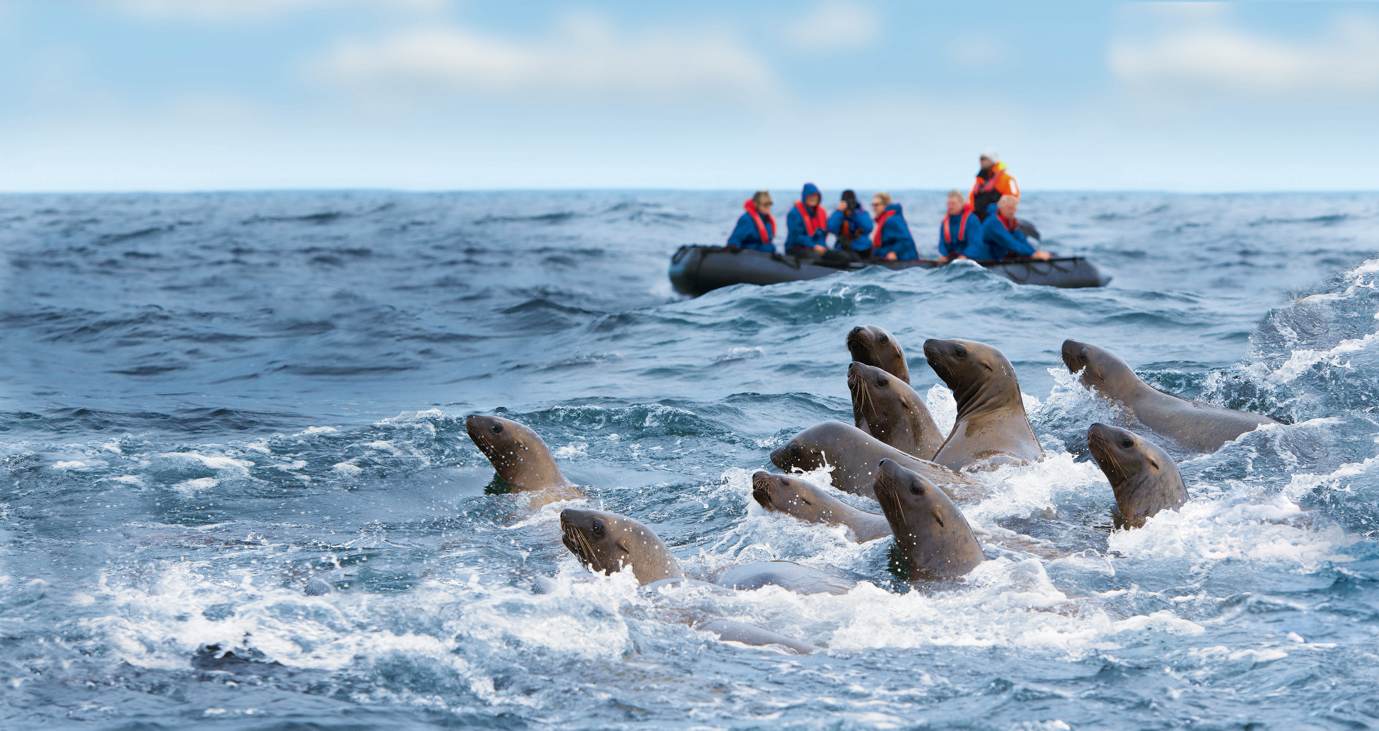 Hapag Lloyd - Hanseatic Expediton Ships - Nature Wildlife Zodiacs Expeditions Excursions _4_ (1)