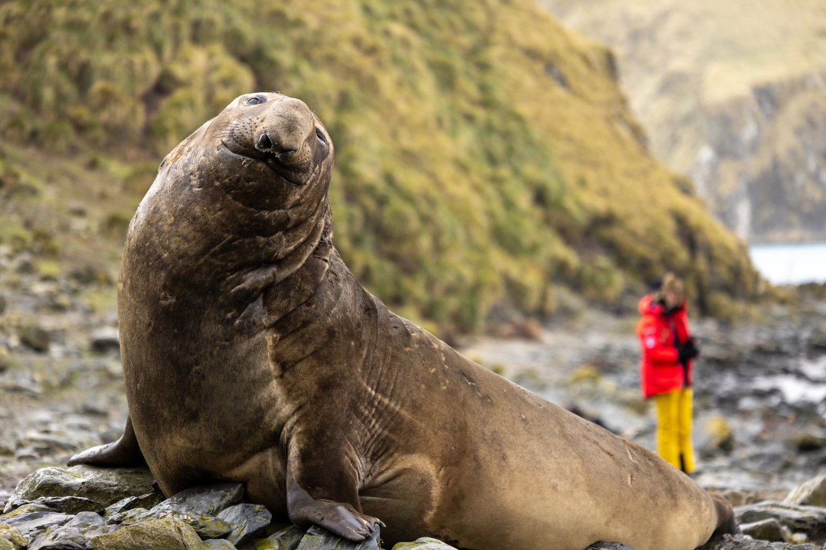 Poseidon Expeditions PIET VAN DEN BEMD
