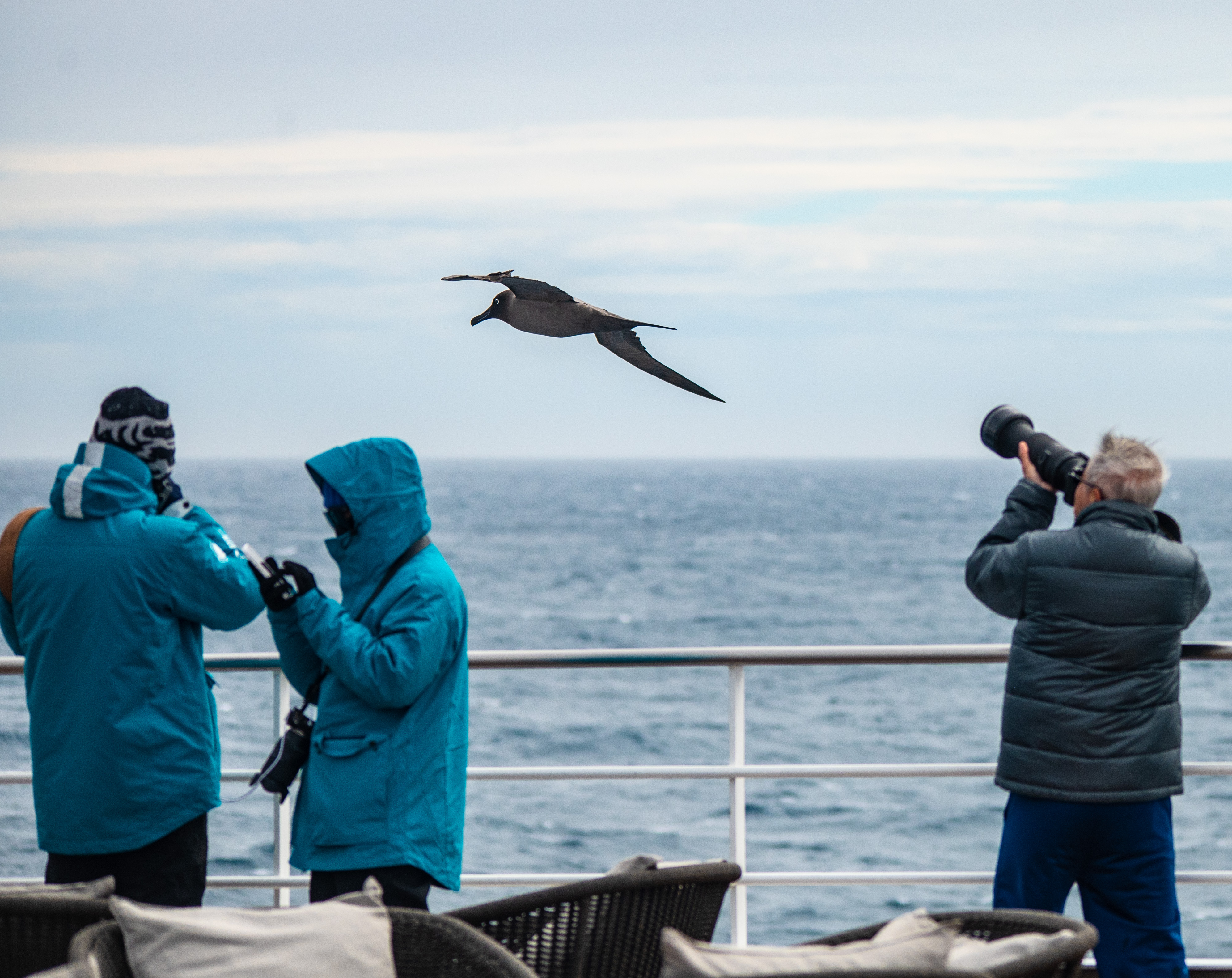 Expedition cruise activity and experience guides by leading experts ...